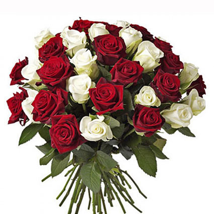 Sarkanu un baltu rožu pušķis