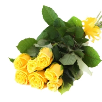 Dzeltenu rožu pušķis