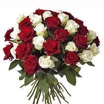 Sarkanu un baltu rožu pušķis