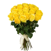 Dzeltenu rožu pušķis